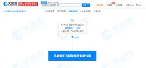 科大訊飛蕪湖新公司拓展多元化業(yè)務(wù) 房產(chǎn)中介成亮點(diǎn)